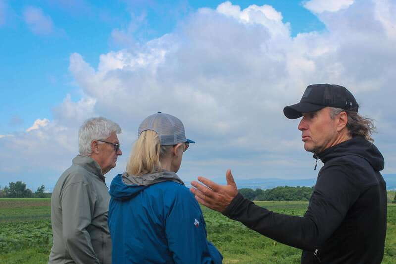 Quebec City - Agricultural Walking Tour on Ile d'Orléans - Getting to the start: fast, simple, and self-paced