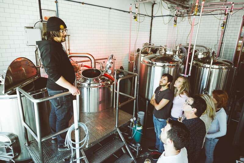 Quebec City: Craft Brewery and Beer Tasting Tour - Start at Noctem Artisans Brasseurs, Where the Cats Make the Rules