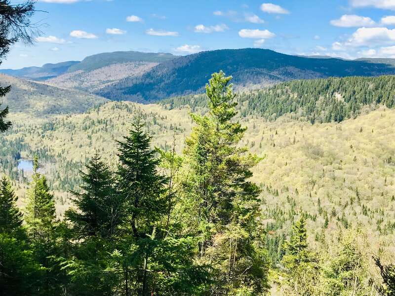 Quebec City: Guided Hike in Jacques-Cartier National Park - After 2 pm: free time, self-guided exploring, and shopping options