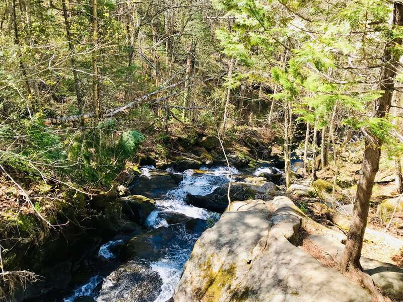 Quebec City: Guided Hike in Jacques-Cartier National Park - Small group energy, bilingual guiding, and why it matters