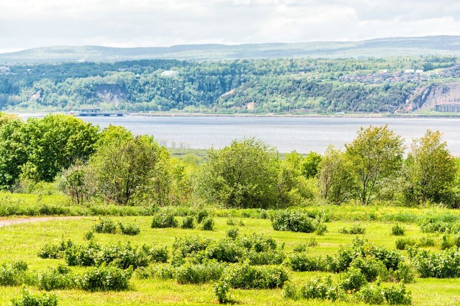 Québec City: Guided Sightseeing River Cruise - Baie de Beauport and the return toward Québec