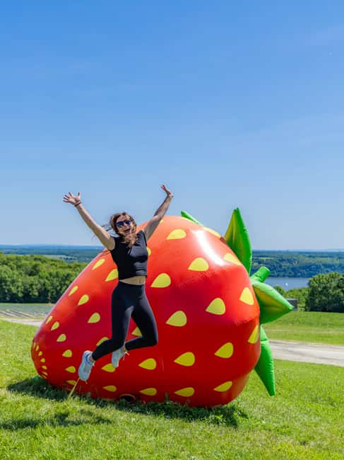 Quebec City: Ile d'Orléans Guided E-Bike Tour with Tastings - The fat-tire e-bike setup, speed limit, and the no-bike-lane reality