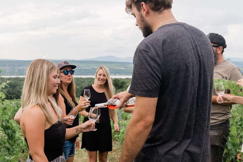 Quebec City: Island of Orleans Wine Tour - Stop one, Domaine Sainte-Famille: tasting plus a guided vineyard walkthrough