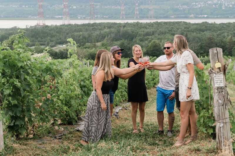 Quebec City: Island of Orleans Wine Tour - Price and value: $95 for three stops, tastings included