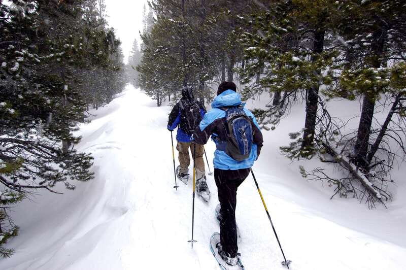 Quebec City: Jacques-Cartier National Park Snowshoeing Tour - Key things I’d bet on