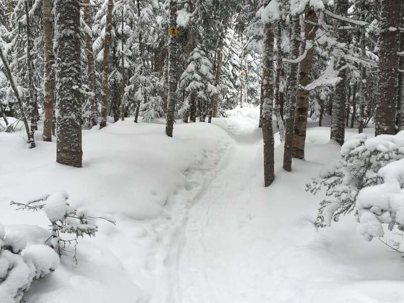 Quebec City: Jacques-Cartier National Park Snowshoeing Tour - What to bring (and what you can rent)