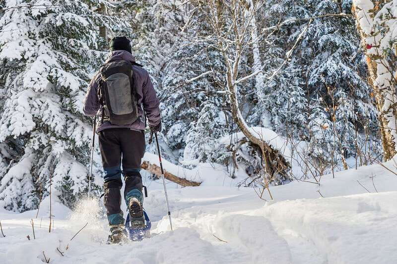 Quebec City: Jacques-Cartier National Park Snowshoeing Tour - Leaving Quebec City for Jacques-Cartier National Park