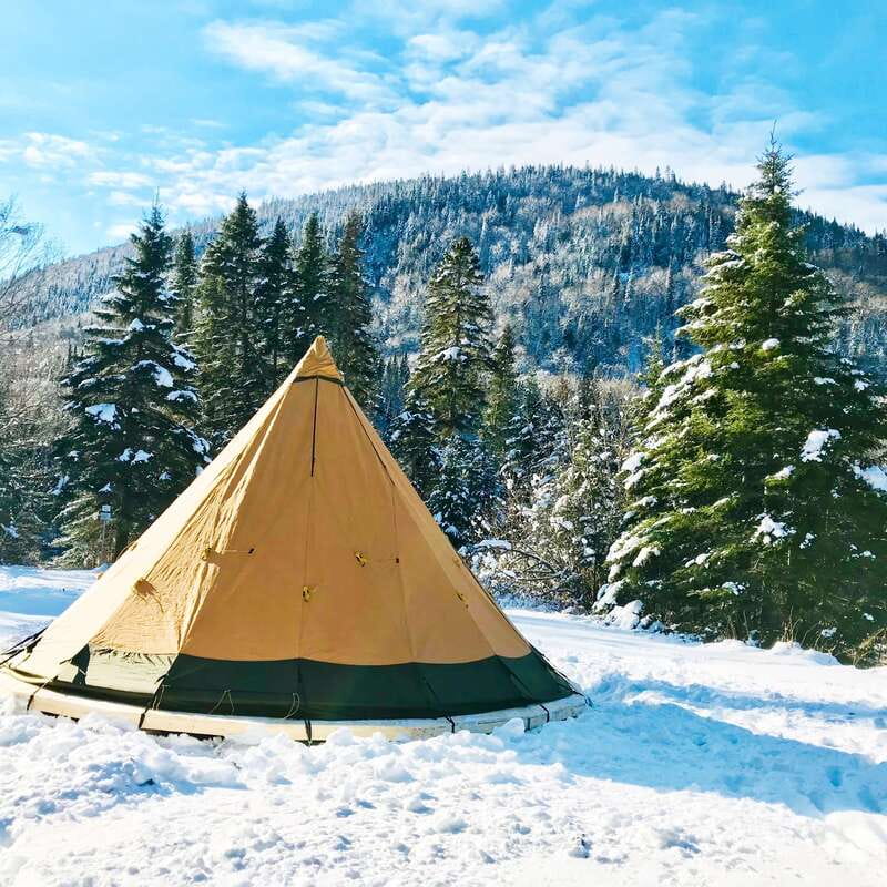 Quebec City: Jacques-Cartier National Park Snowshoeing Tour - Photo stops and wildlife moments without the stress