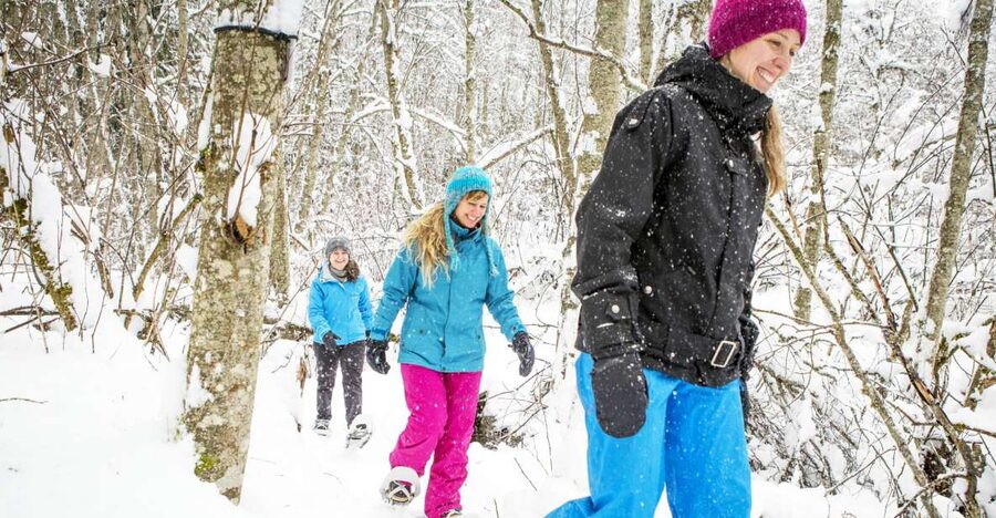 Quebec City: Jacques-Cartier National Park Snowshoeing Tour - Price and value: what $108 buys you on a winter day