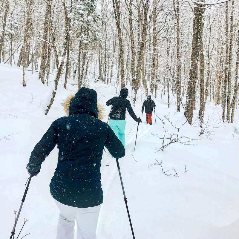 Quebec City: Jacques-Cartier National Park Snowshoeing Tour - What kind of traveler this suits best