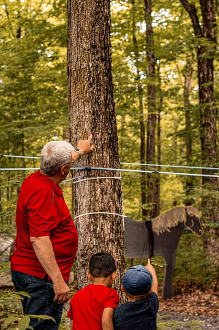 Quebec City (Lévis): self-guided sugar shack tour + meal + maple taffy - Forest Trails and The Sap System, Century Trees to Modern Tubing