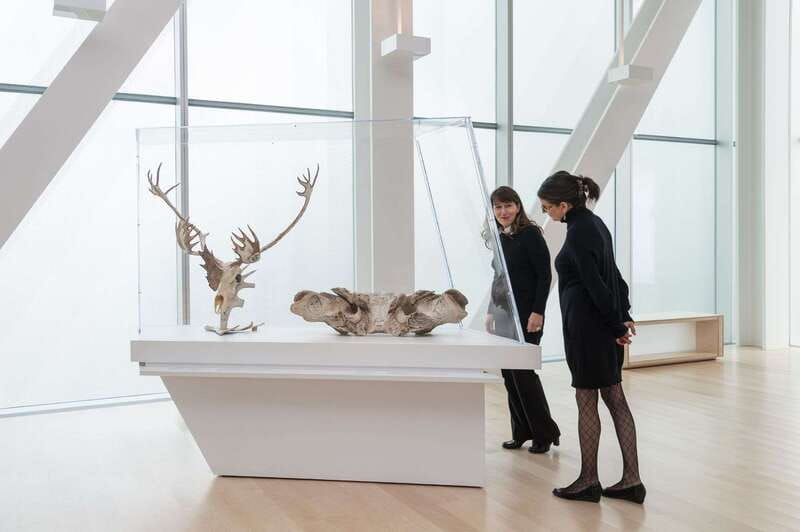 Quebec City: MNBAQ National Fine Arts Museum Entry Ticket - Key highlights worth planning around