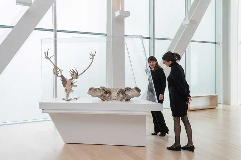 Quebec City: MNBAQ National Fine Arts Museum Entry Ticket - Should you book this MNBAQ entry ticket?