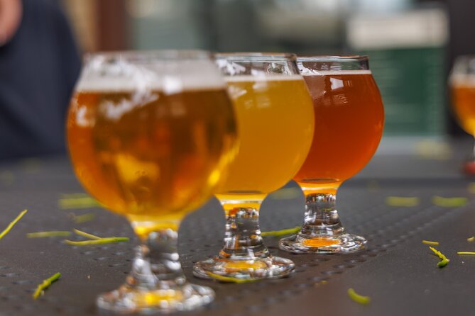 Quebec City: Montmorency Falls and Microbrewery eBike Tour - La Barberie craft beer finish, plus local flavors to refuel