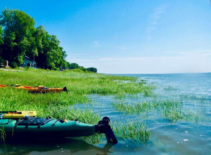 Quebec City: Sea-Kayaking Tour in Orleans Island - Guides and small-group comfort, including English and French