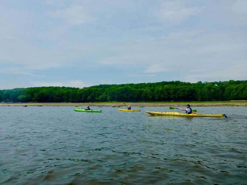 Quebec City: Sea-Kayaking Tour in Orleans Island - Price and value at $65 for 3 hours, with one catch
