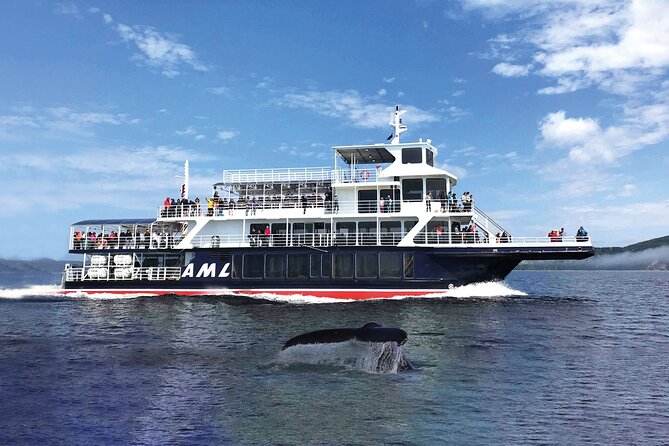 Québec City: Whale Watching Tour with Bus Transportation - Arriving at Saguenay-St. Lawrence Marine Park: Where the Real Action Begins