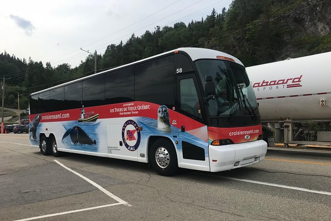 Québec City: Whale Watching Tour with Bus Transportation - Whale Guarantee: What It Really Means for Your Risk