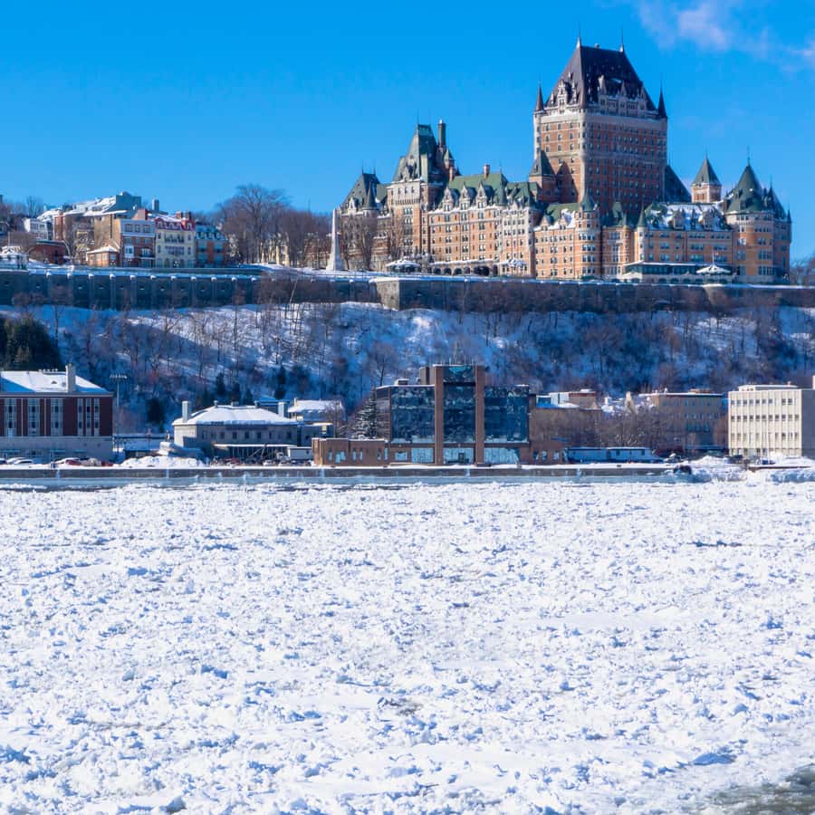 Quebec City: Winter Magic Tour - The Dufferin Terrace slide: pure fun, plus a real line to plan for
