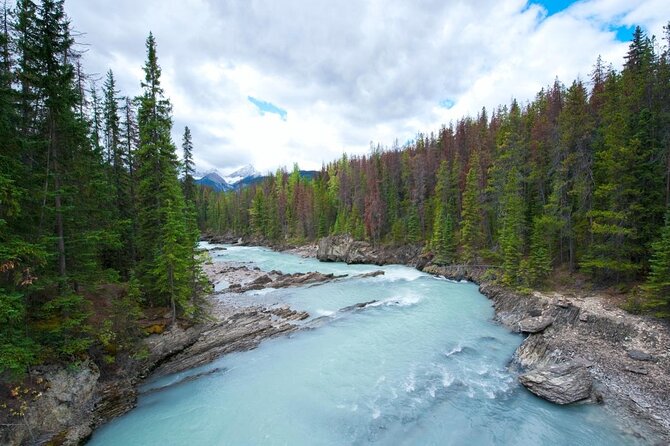 Rafting Adventure on the Kicking Horse River - Key highlights you should care about