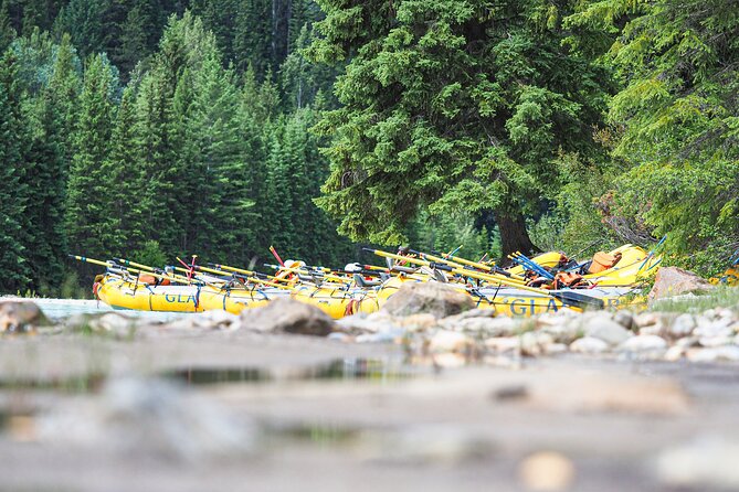 Rafting Adventure on the Kicking Horse River - Getting to the river: the shuttle part that actually helps