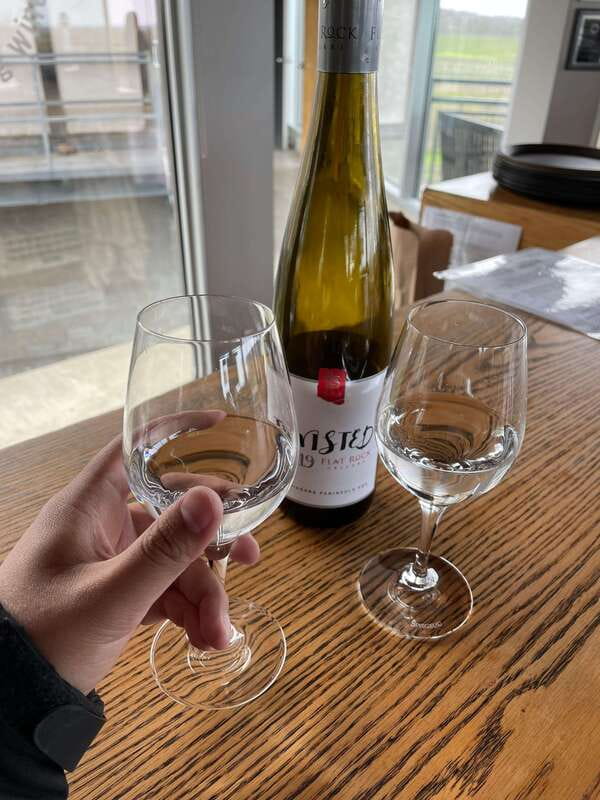Relaxing Lunch & Wine Tour through Niagara's Wine Country - Logistics that keep the day smooth: pickup, parking, and pacing
