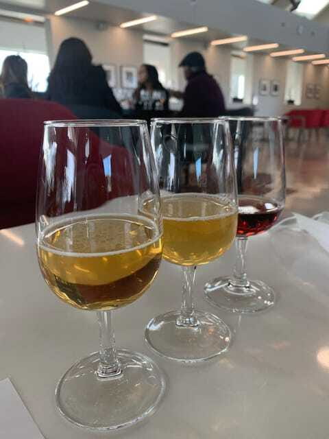 Relaxing Lunch & Wine Tour through Niagara's Wine Country - The guide experience: service, local stories, and feeling like a small group