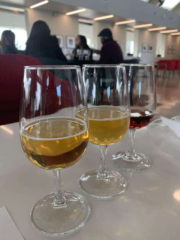 Relaxing Lunch & Wine Tour through Niagara's Wine Country - Price and value: what $145 buys you, and what it does not