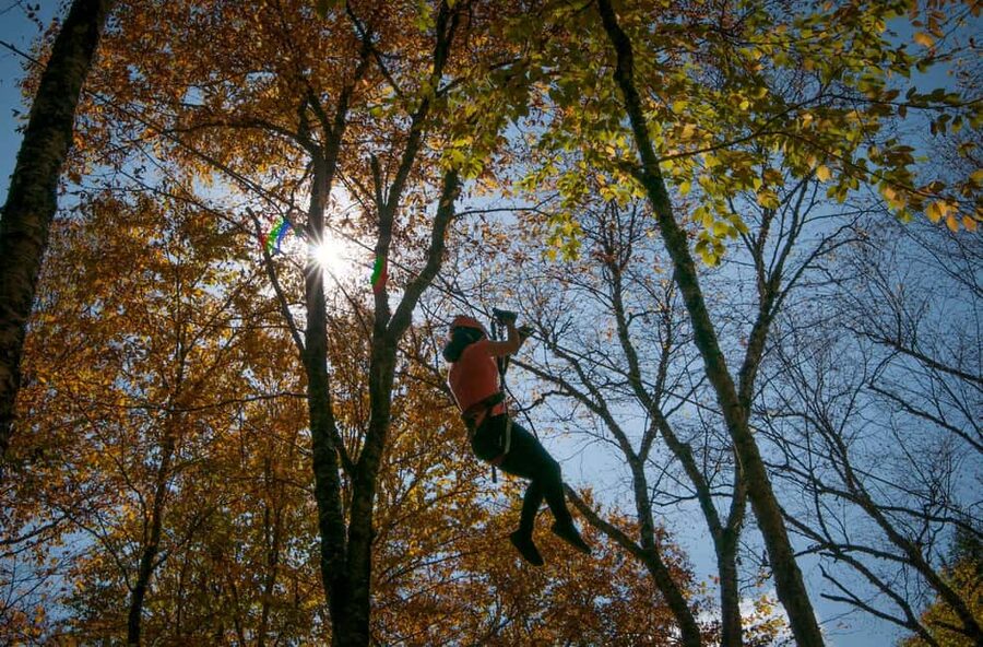 River Ziplines - Nature Tours - Quick hits before you go