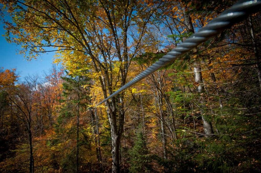 River Ziplines - Nature Tours - Should You Book River Ziplines - Nature Tours?