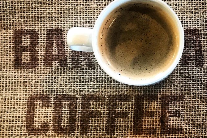 Roasting Experience at 14th Coffee Co - How the Roast Profiles and Origins Help You Buy Better Coffee