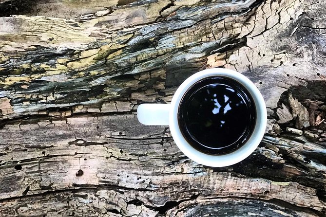 Roasting Experience at 14th Coffee Co - Group Size, Timing, and What to Expect in a 2-Hour Visit