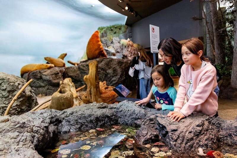 Royal B.C. Museum in Victoria: Full-Day Admission Ticket - Quick hits for Royal BC Museum day