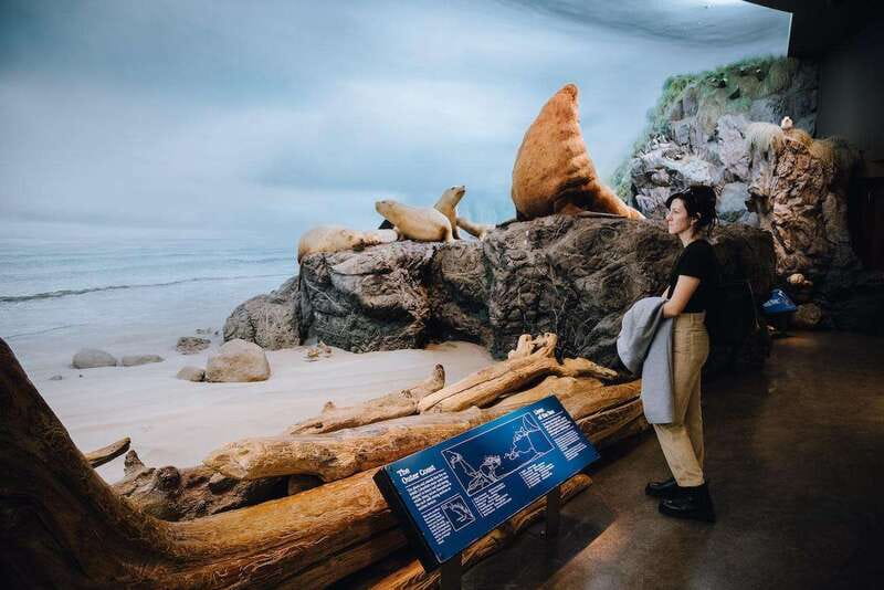 Royal B.C. Museum in Victoria: Full-Day Admission Ticket - Royal BC Museum in Victoria: a one-ticket day with many “worlds”