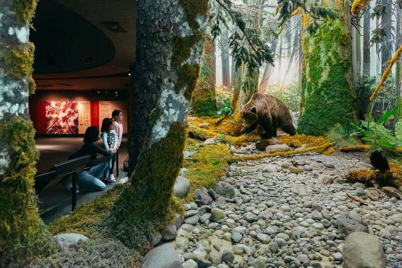 Royal B.C. Museum in Victoria: Full-Day Admission Ticket - Jonathan Hunt House and Kwakwaka’wakw ceremonial storytelling