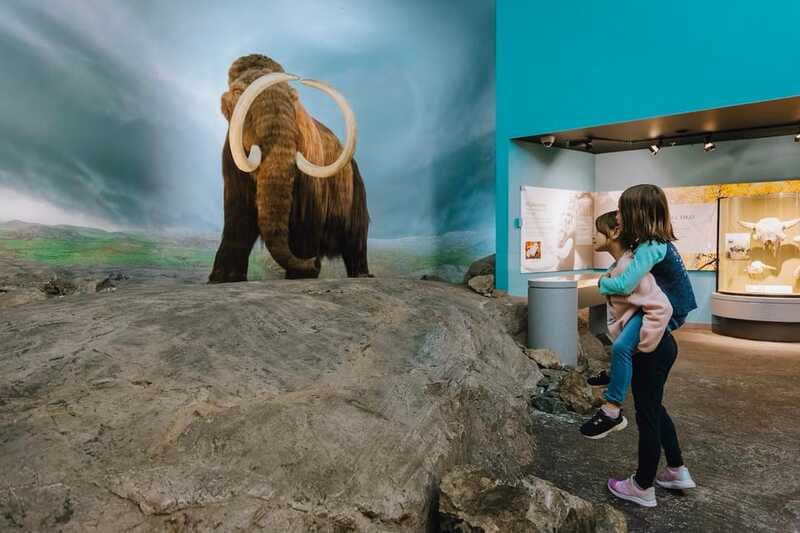 Royal B.C. Museum in Victoria: Full-Day Admission Ticket - Thunderbird Park and St Ann’s Schoolhouse: why the precinct matters
