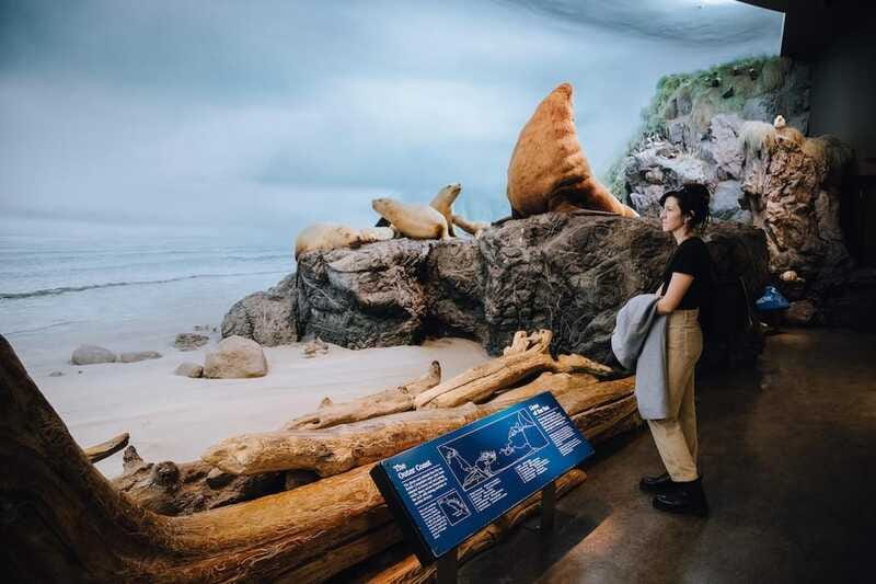 Royal B.C. Museum in Victoria: Full-Day Admission Ticket - IMAX Victoria finish: a big screen option, not included