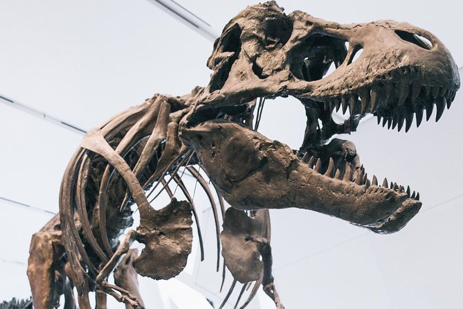 Royal Ontario Museum Admission - Royal Ontario Museum Admission: What Your Ticket Really Buys