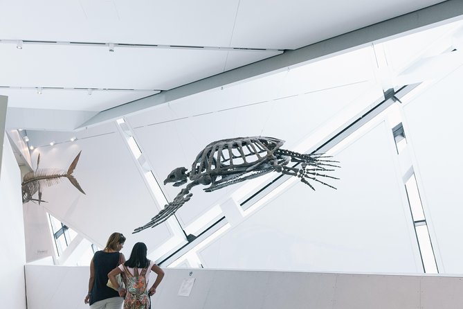 Royal Ontario Museum Admission - Family-Friendly Touring: Toddler Zones, Dinosaur Floors, and Pacing
