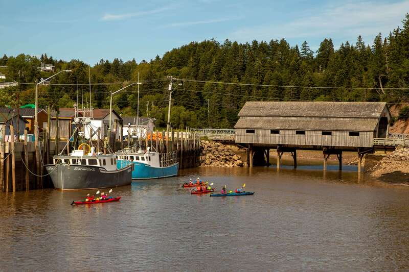 Saint John: Guided Kayaking Tour of St. Martins Sea Caves - St. Martins Sea Caves: why the Bay of Fundy feels different