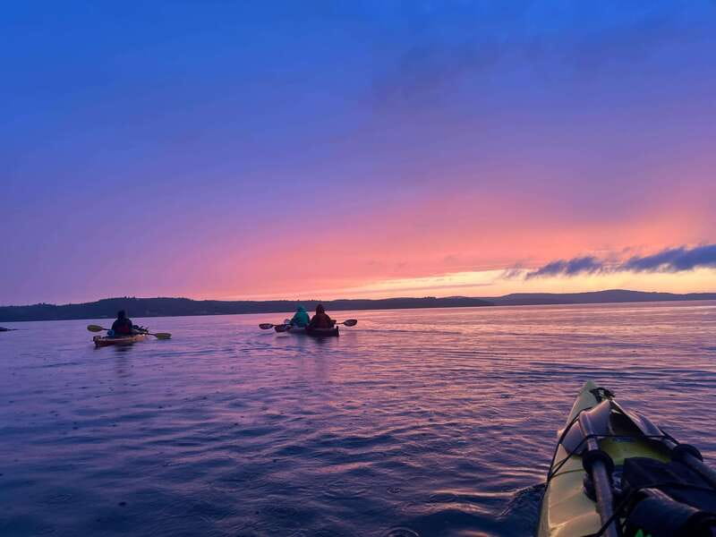 Saint John River: River Relics Kayak Tour - Wildlife moments: what you might spot while paddling