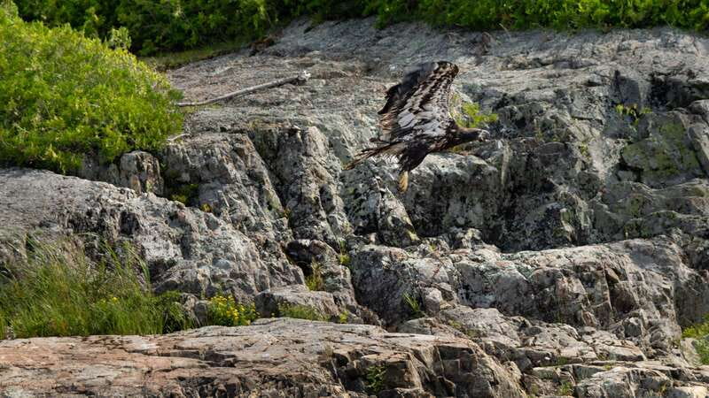 Saint John River: River Relics Kayak Tour - Price and value: what $83 buys for a guided 2-hour paddle