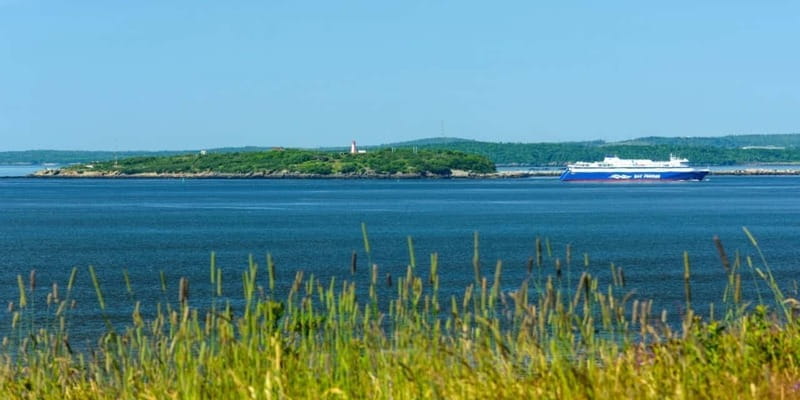Saint John Walking Tour - Price and logistics: the value is real, but watch the details