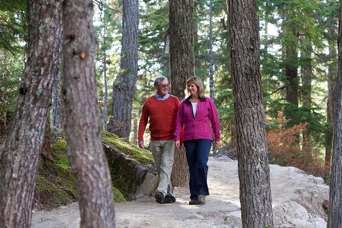 Sea to Sky Gondola Ticket - Summit Lodge and the tea house: snack smarter and plan your meal break