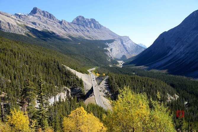 Self-Guided Audio Driving Tour in Icefields Parkway - Stop-by-stop: Peyto Lake at Bow Summit, plus the Parker Ridge steep payoff