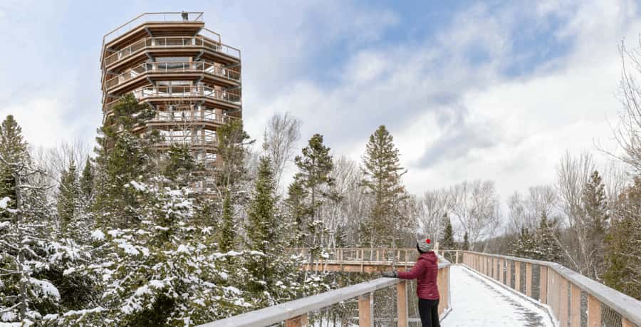 Sentier des cimes Laurentides: Treetop Observatory & Walk - Key Things to Know Before You Go