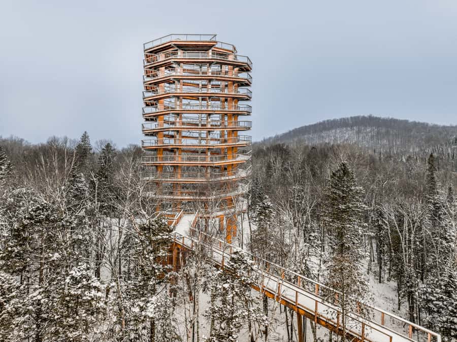Sentier des cimes Laurentides: Treetop Observatory & Walk - Who This Treetop Walk Is Perfect For (and Who Should Think Twice)
