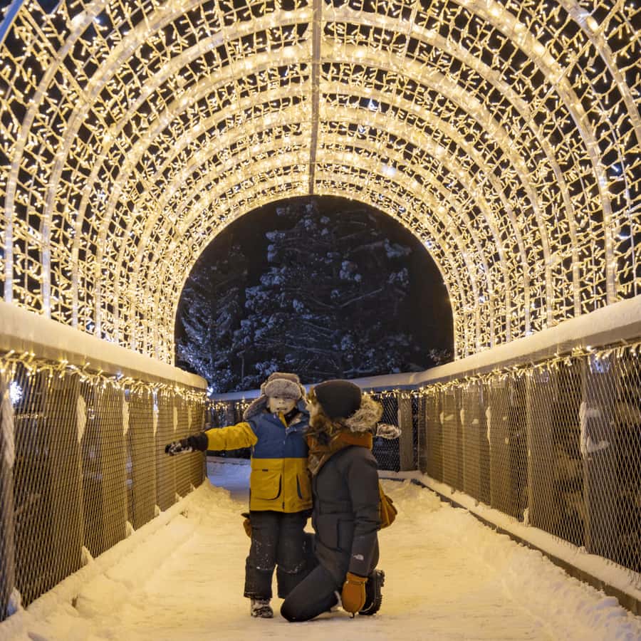 Sentier des cimes Laurentides: Treetop Observatory & Walk - Why the Treetop Walk in the Laurentides Feels Different