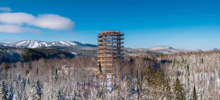 Sentier des cimes Laurentides: Treetop Observatory & Walk - Walking the Forest Path to the Treetops (About 1 km)