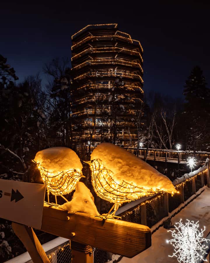 Sentier des cimes Laurentides: Treetop Observatory & Walk - Ticket Value: What You Pay For and What You Don’t